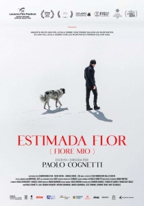 ESTIMADA FLOR